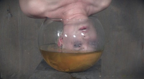 Blonde sex slave Dresden has her head submerged in a bowl of pee 38761840