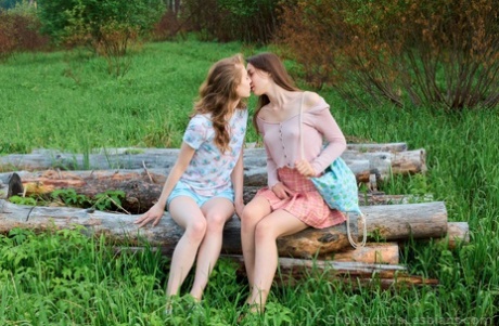 Young girls have lesbian sex on a blanket in a lush field near the water 95731000